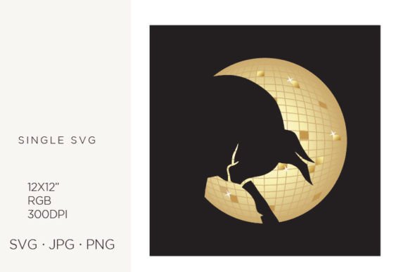 Disco Ball and Bull: Graphics for Creative Branding